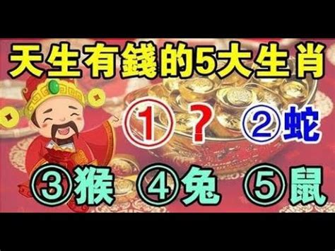 房屋座向 生肖|生肖宅向配對攻略